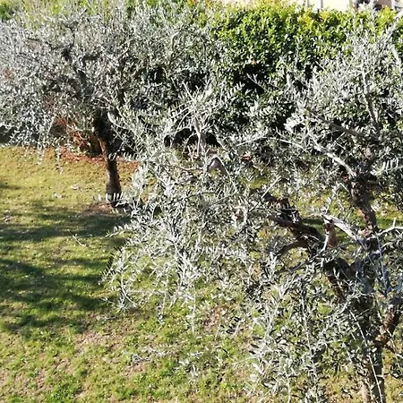 Il Melograno Bed & Breakfast